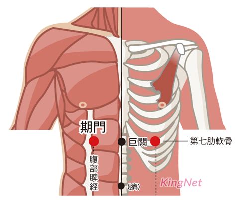 旗門穴|期門穴的功效與作用附按摩手法